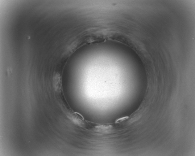 X0000067330480200604071330