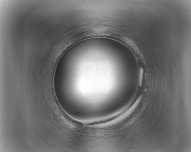 X0000067330481200604071329