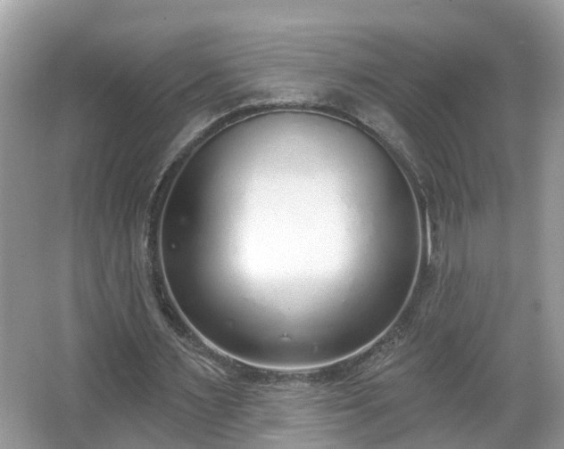 X0000067330483200604071329