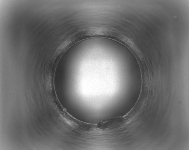 X0000067330489200604071329