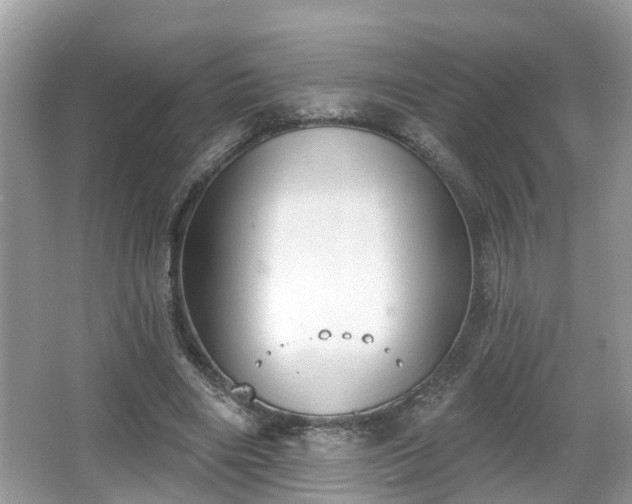 X0000067330490200604071329