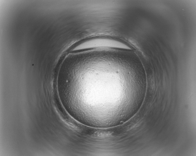 X0000067330491200604071329