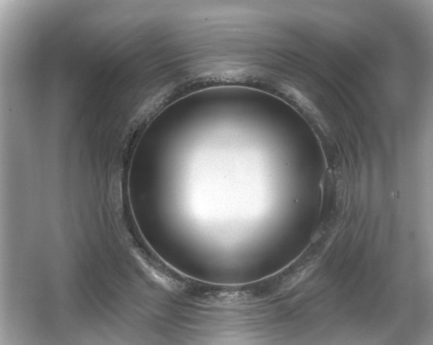 X0000067330493200604071329