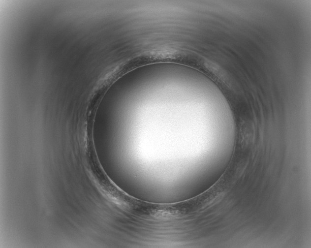 X0000067330494200604071329