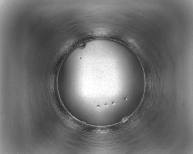 X0000067330495200604071329