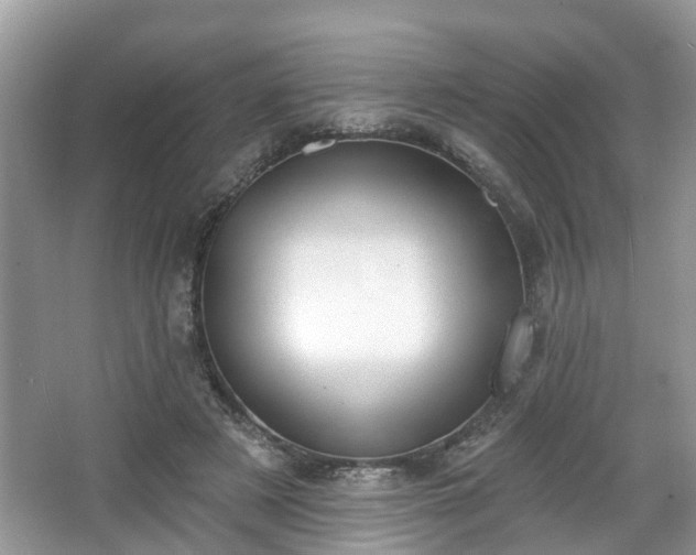 X0000067330497200604071329