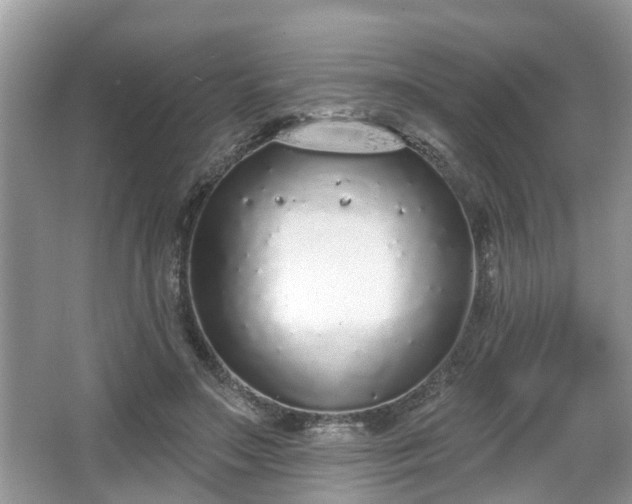 X0000067330499200604071329