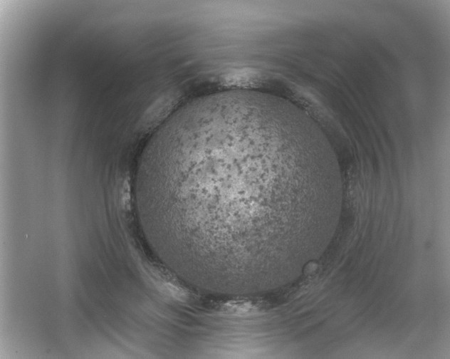 X0000067330502200604071329