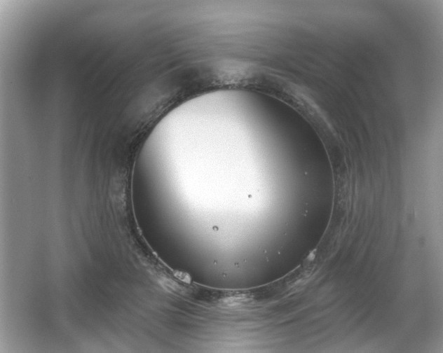 X0000067330505200604071329