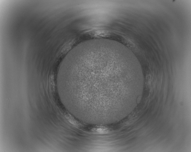 X0000067330506200604071329