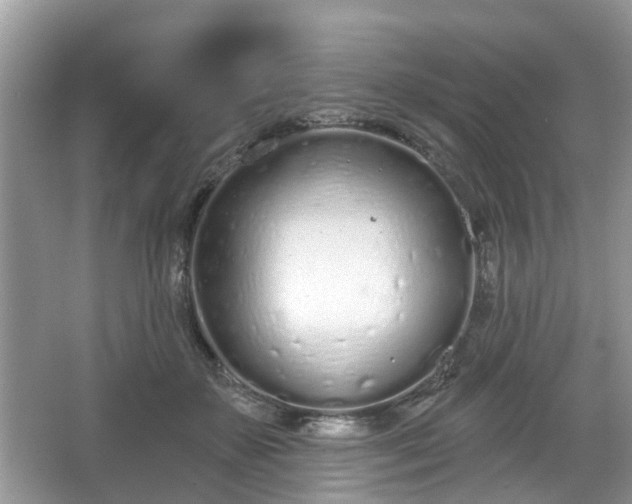 X0000067330507200604071329