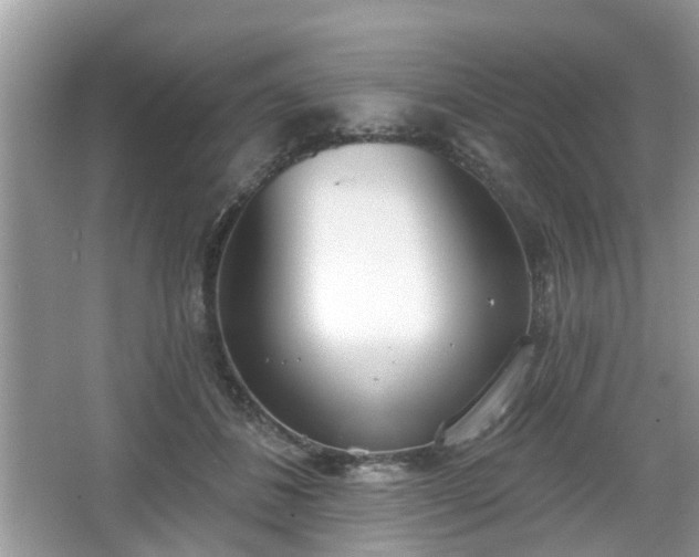 X0000067330508200604071329