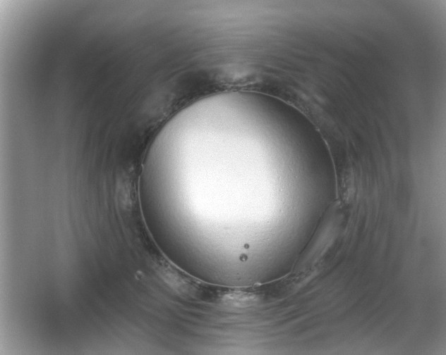 X0000067330515200604071329