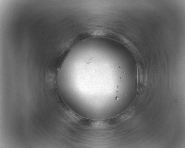 X0000067330521200604071328