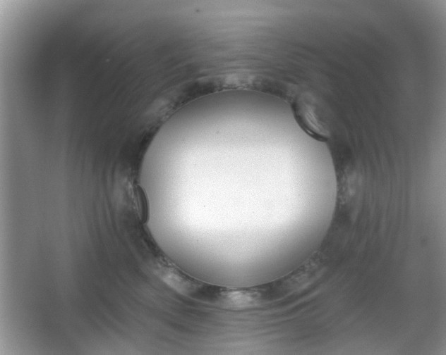 X0000067330522200604071328