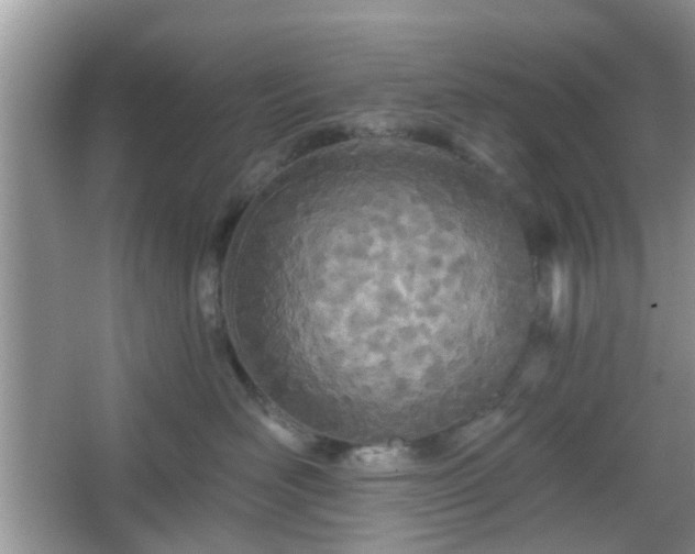 X0000067330526200604071328