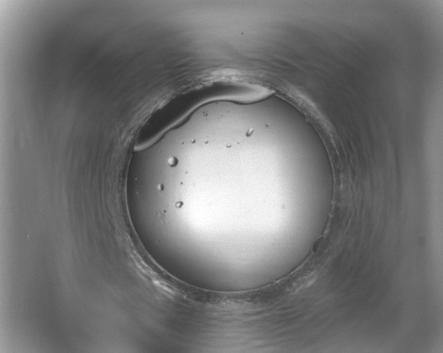 X0000067330529200604071328