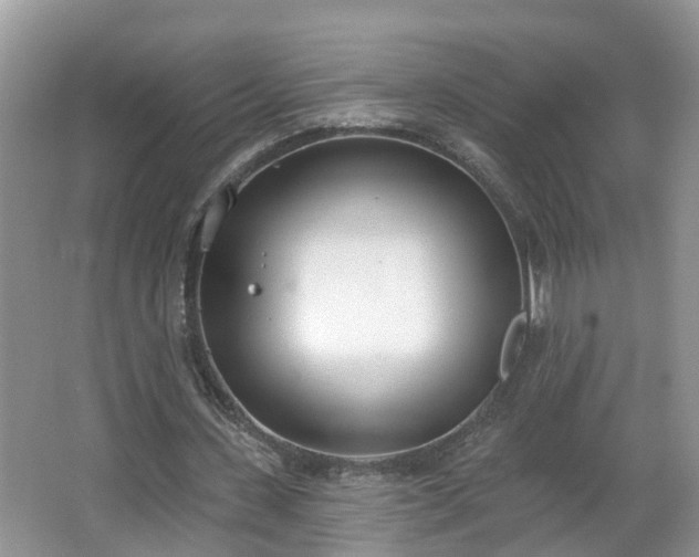 X0000067330531200604071328