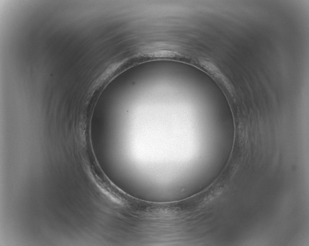 X0000067330533200604071328