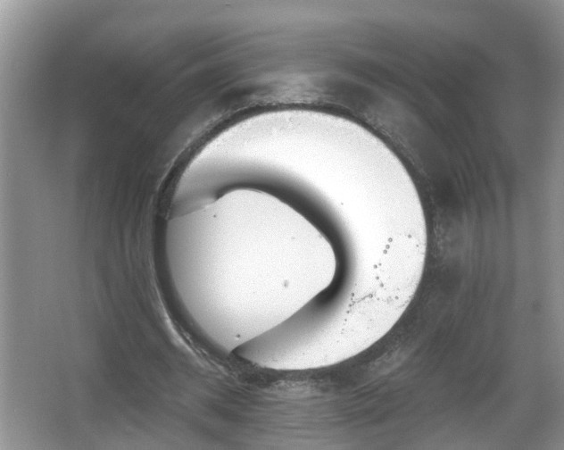 X0000067330534200604071328