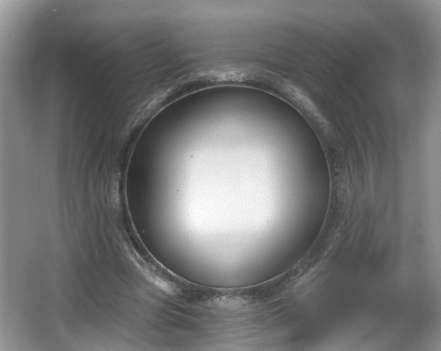 X0000067330537200604071328