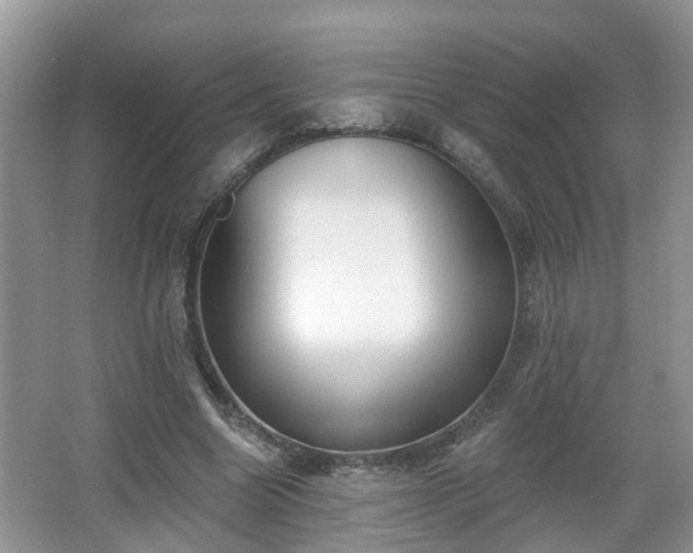 X0000067330538200604071328