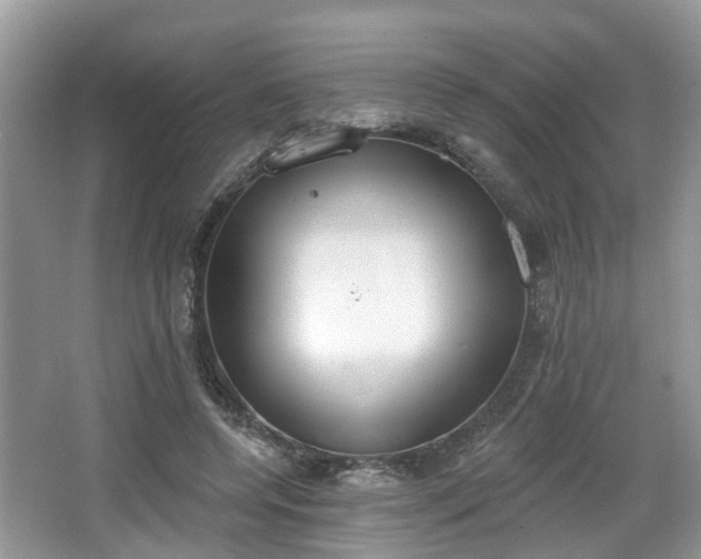 X0000067330544200604071328