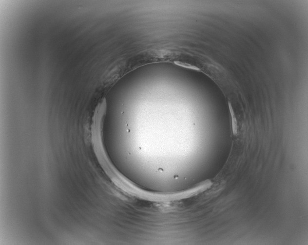 X0000067330558200604071328