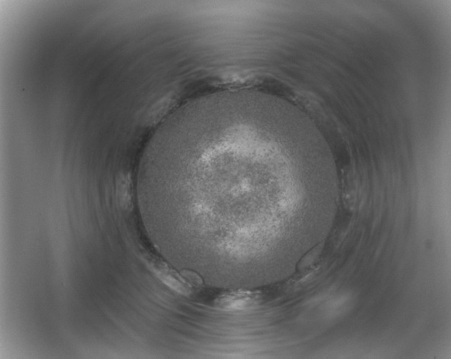 X0000067330563200604071328