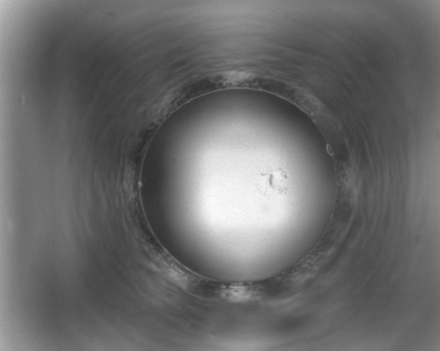 X0000067330565200604071328