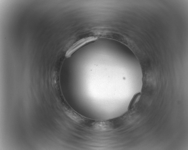 X0000067330567200604071328