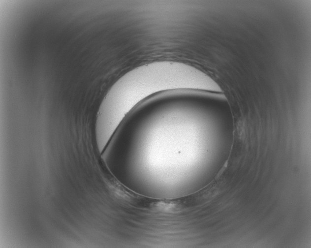 X0000067330570200604071328