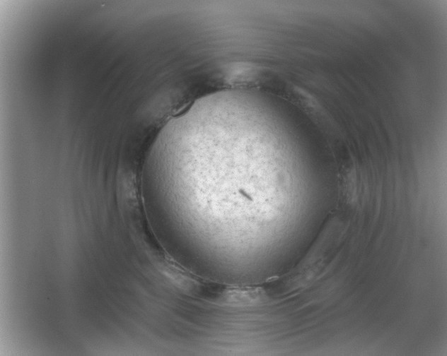 X0000067330571200604071328