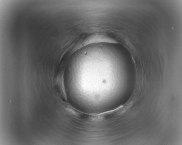 X0000067330576200604071328