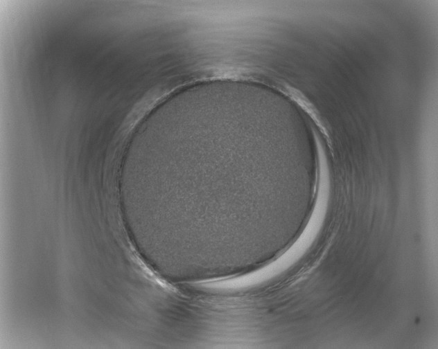 X0000067330577200604071328