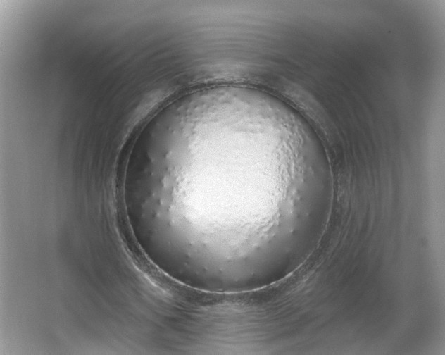 X0000067330578200604071328