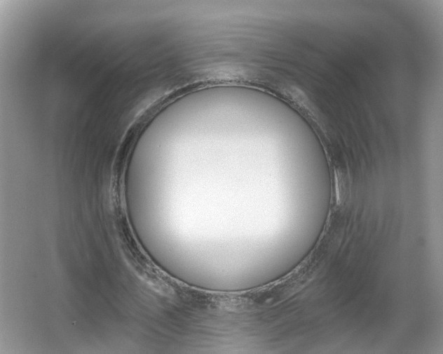 X0000067330579200604071327