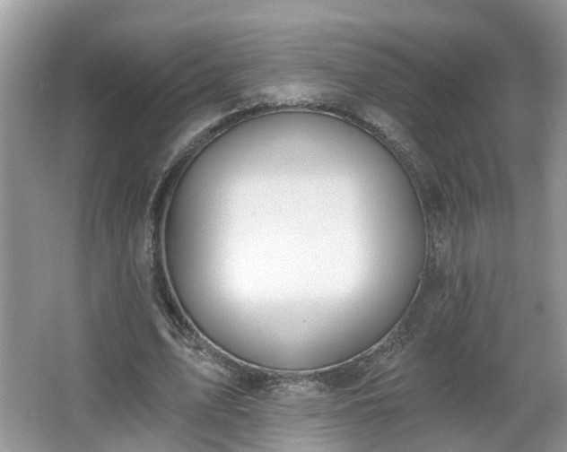 X0000067330583200604071327