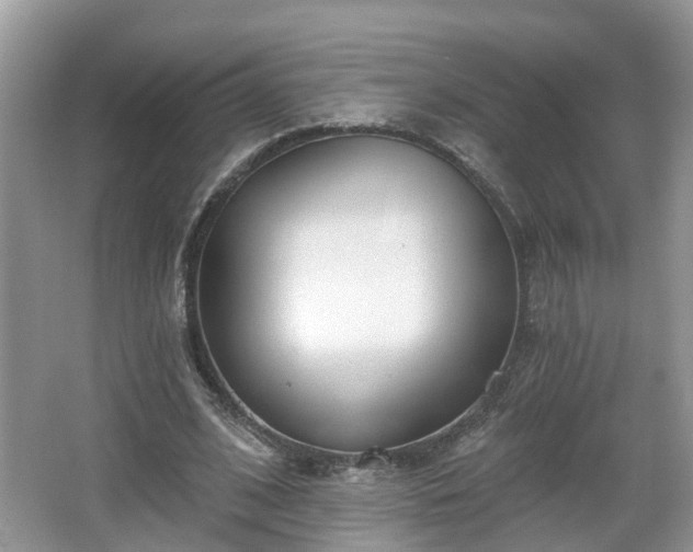 X0000067330584200604071327