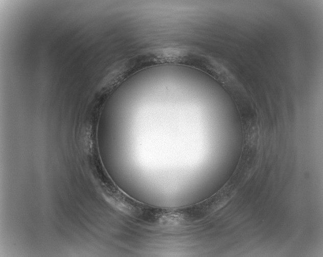 X0000067330599200604071327