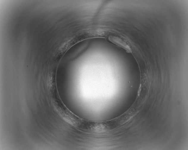 X0000067330600200604071327