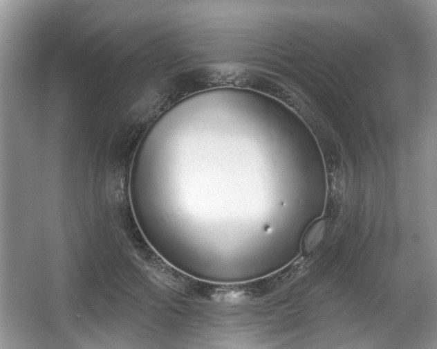 X0000067330602200604071327