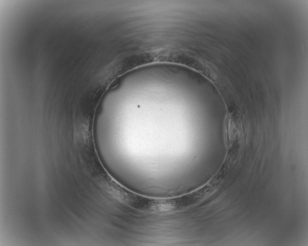 X0000067330610200604071327