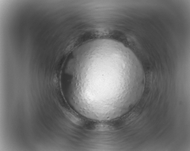 X0000067330614200604071327