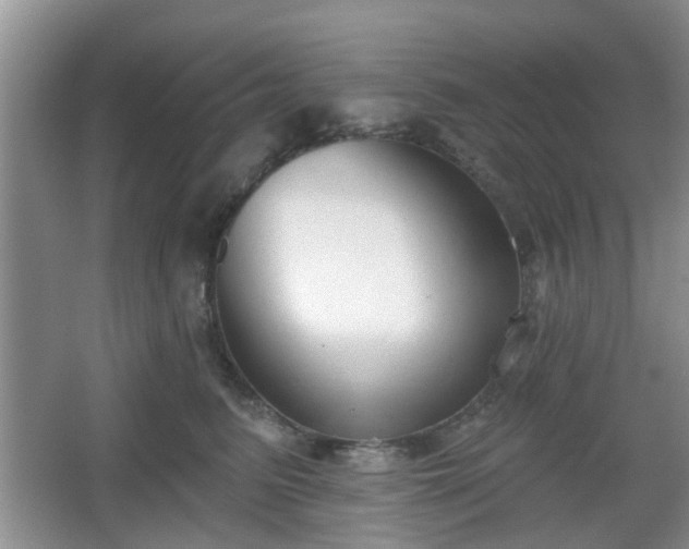 X0000067330615200604071327