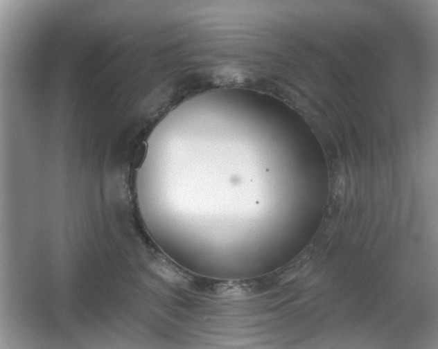 X0000067330616200604071327