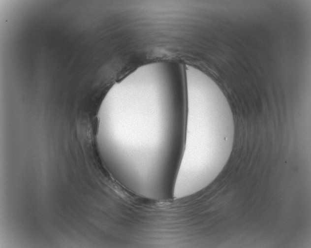 X0000067330617200604071327