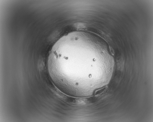 X0000067330618200604071327