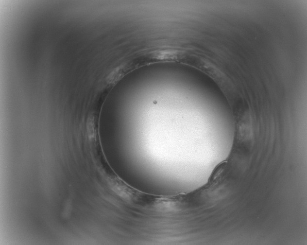 X0000067330620200604071327