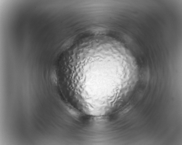 X0000067330622200604071327